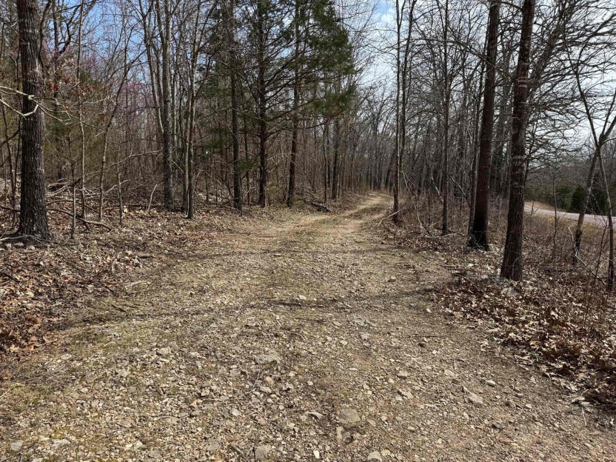 Van Camp trail photo