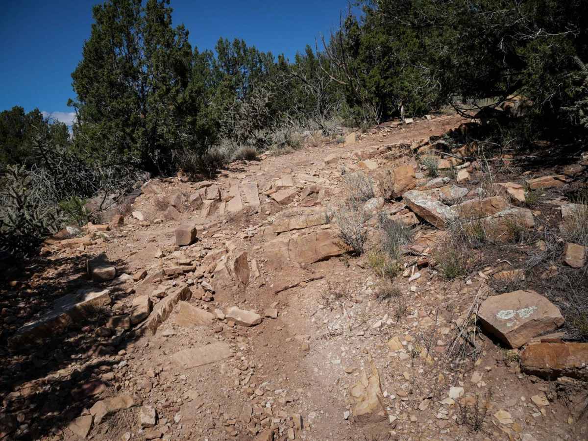 6102C trail photo