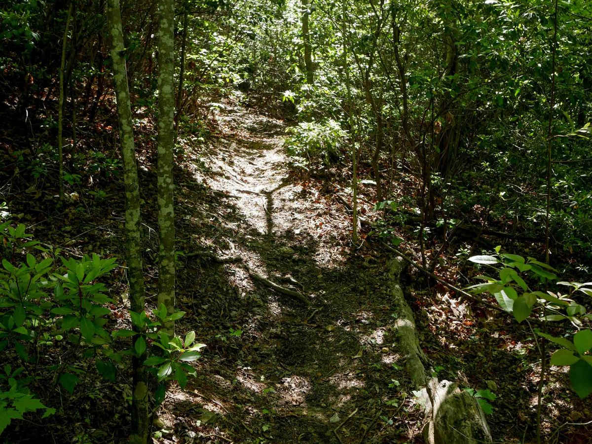 Stage 4 photo 2
