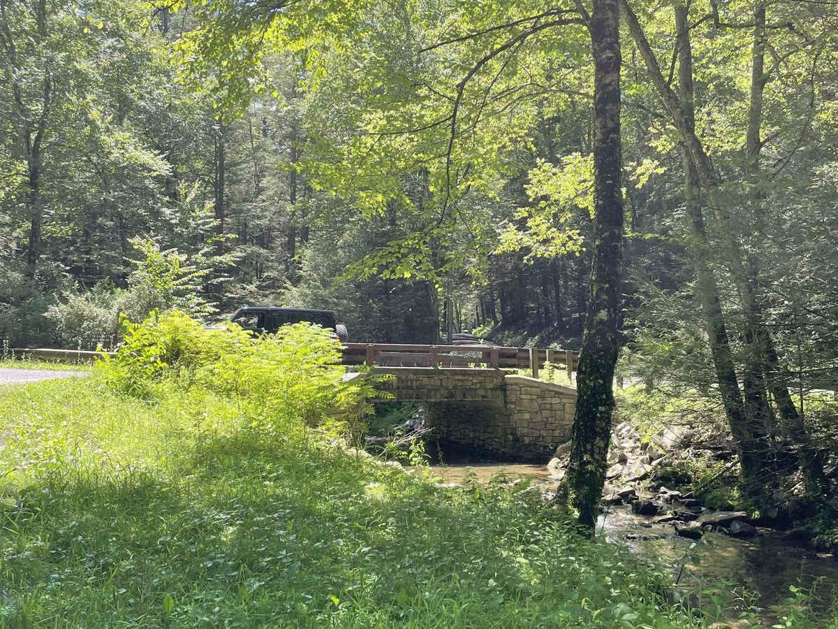 East Run Road photo 3