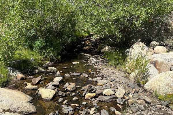 Abel Creek