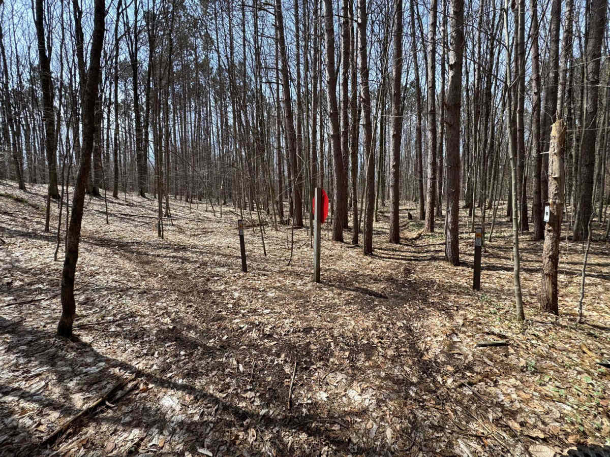Caberfae Spur photo 5