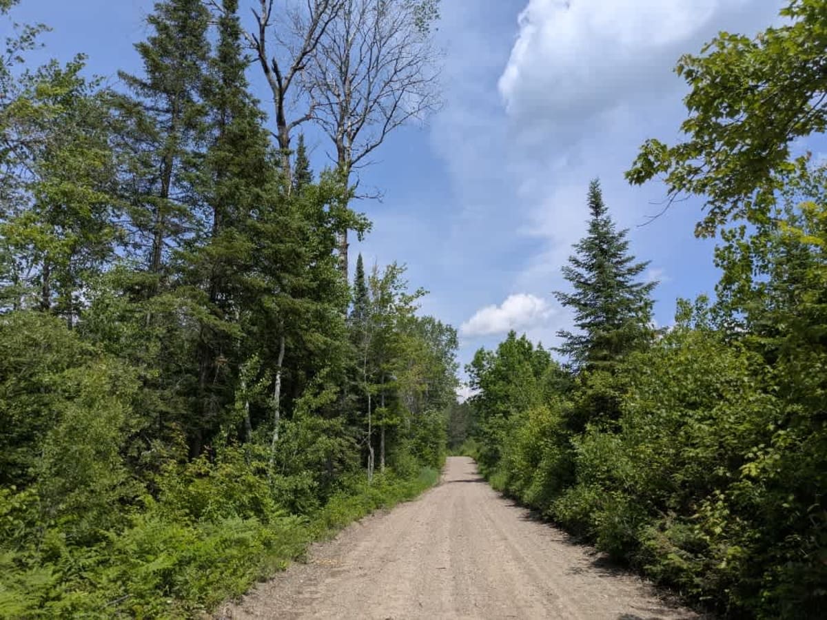 West Spider Lake Drive photo 5