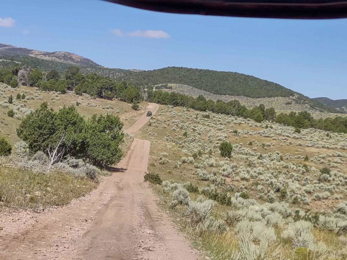 Clear Creek/Mill Creek - FS #40583, PST15A photo 3
