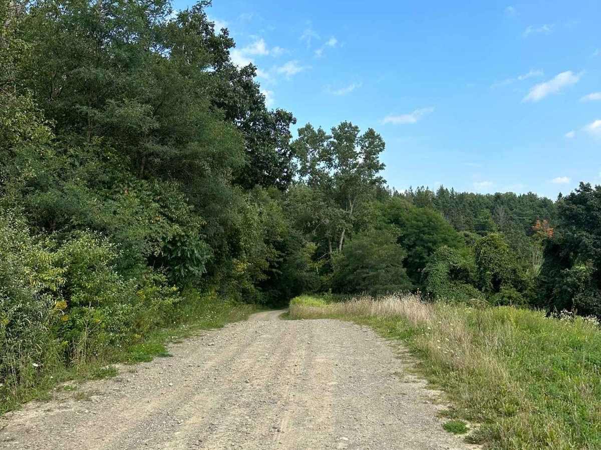 Burke Hill Road photo 6