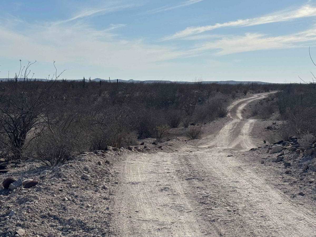 Crossover Loop photo 3