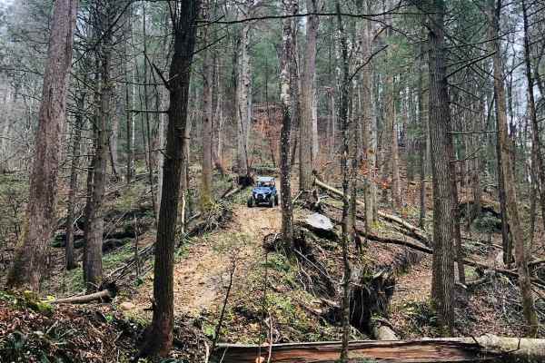 Cedgap Trail