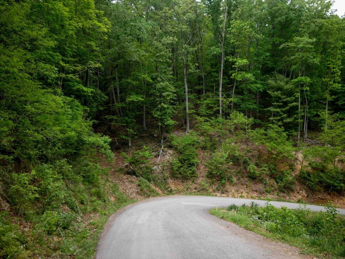 Gravel Road photo 4