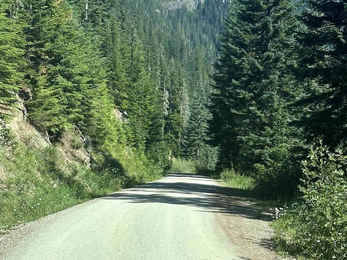 Towhead Gap Trail trail photo