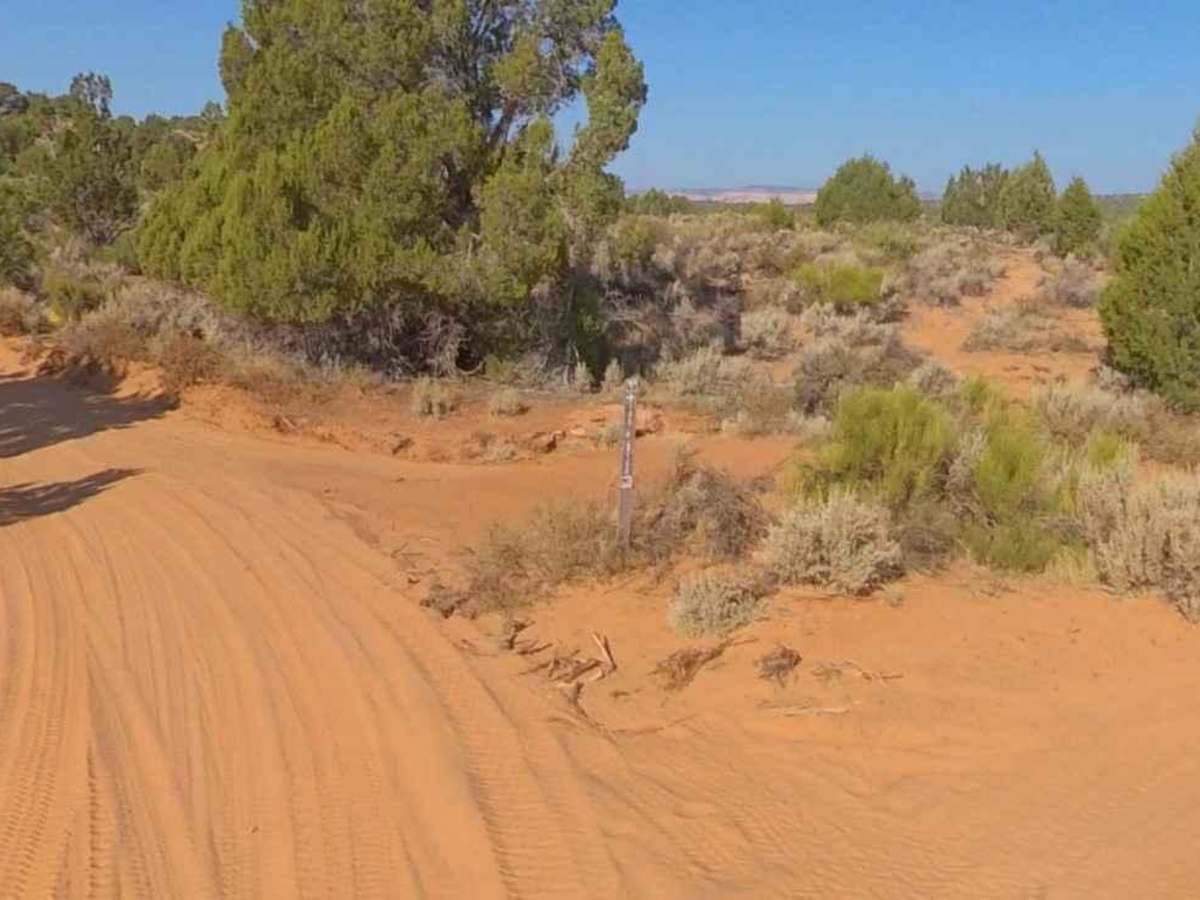 BLM100 photo 6