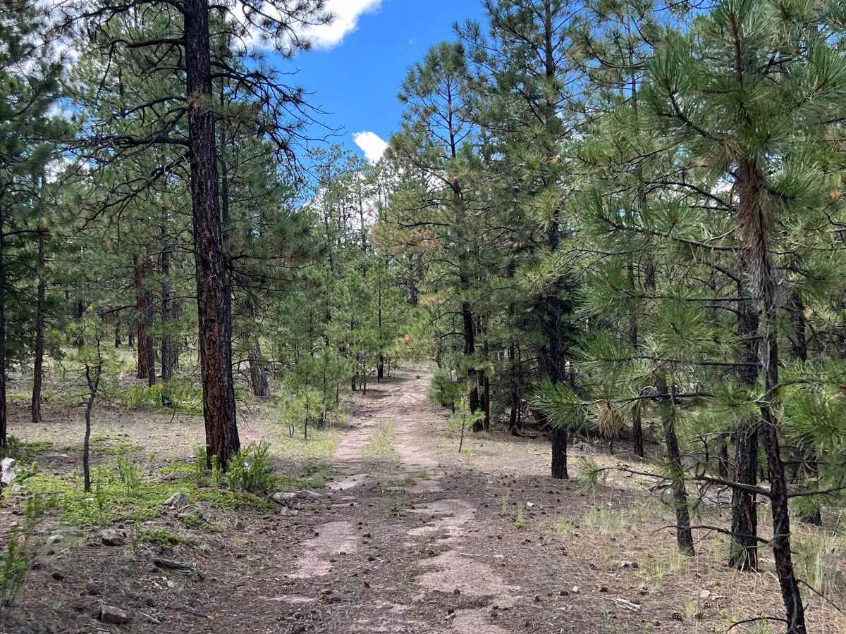 Boulder Wash - FR 451 photo 3