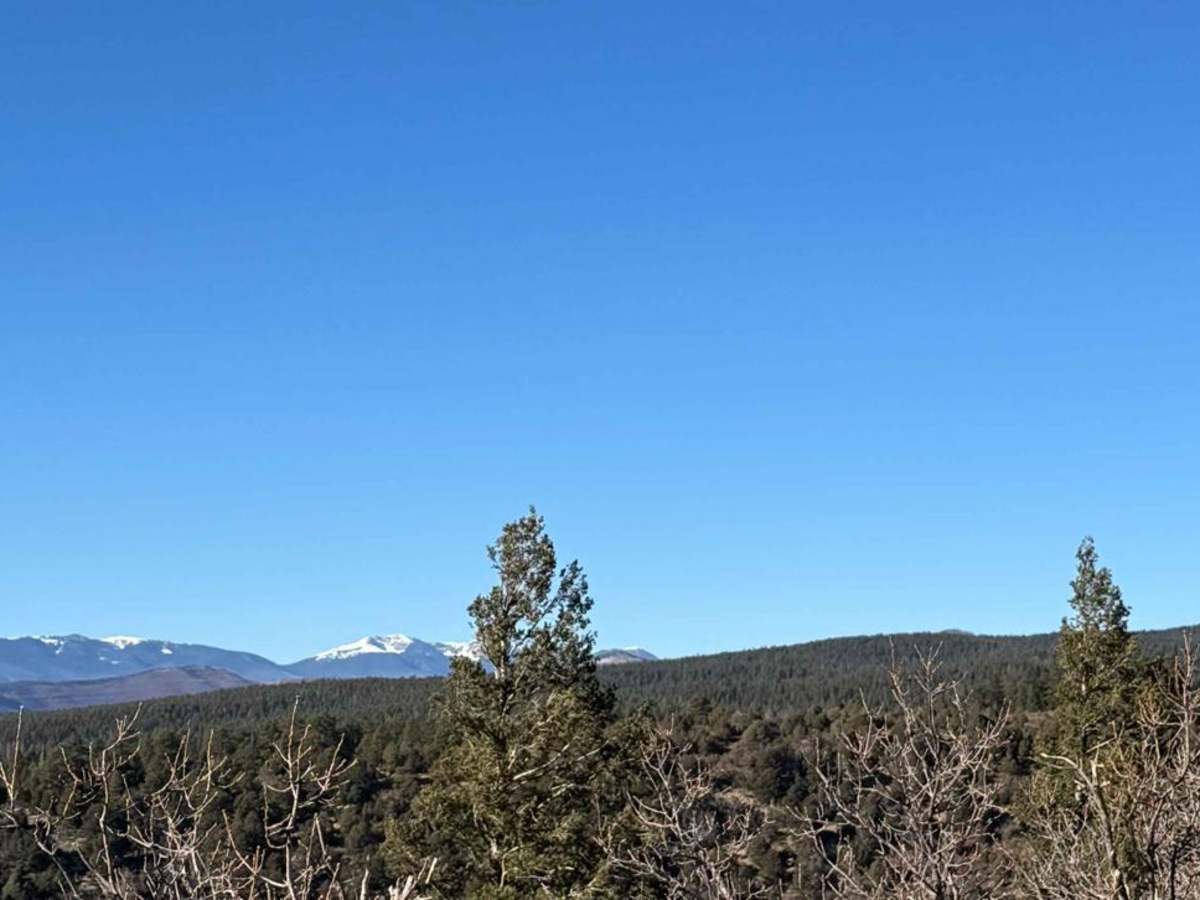 Ruidoso Ridge trail photo