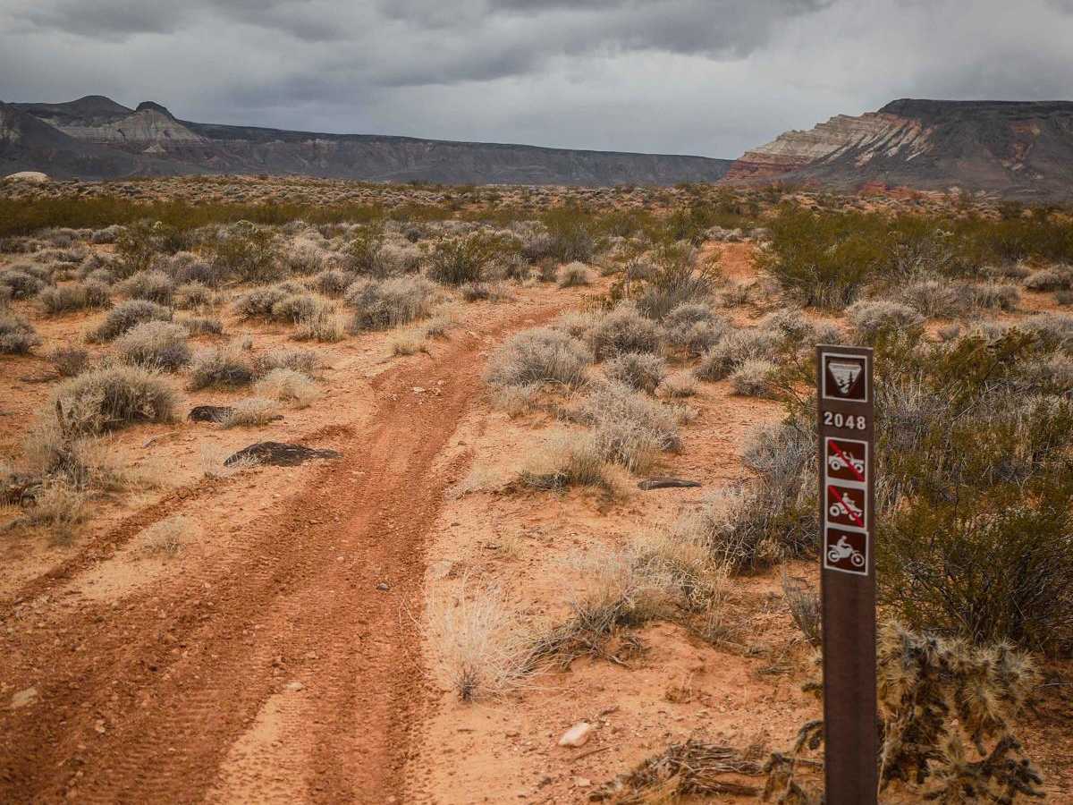 2048 Single Track photo 5
