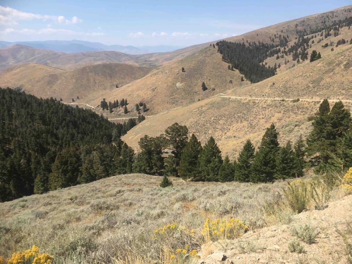 Lemhi Pass Road trail photo