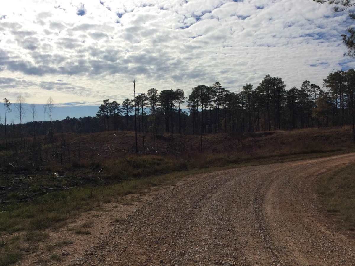 HCNF 102E Trail photo 3