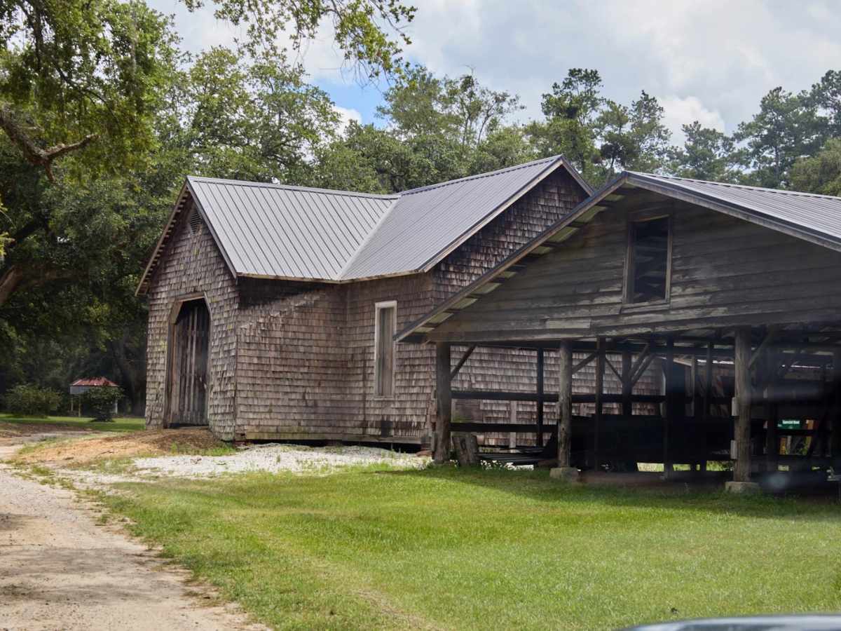 Treadwell Road trail photo
