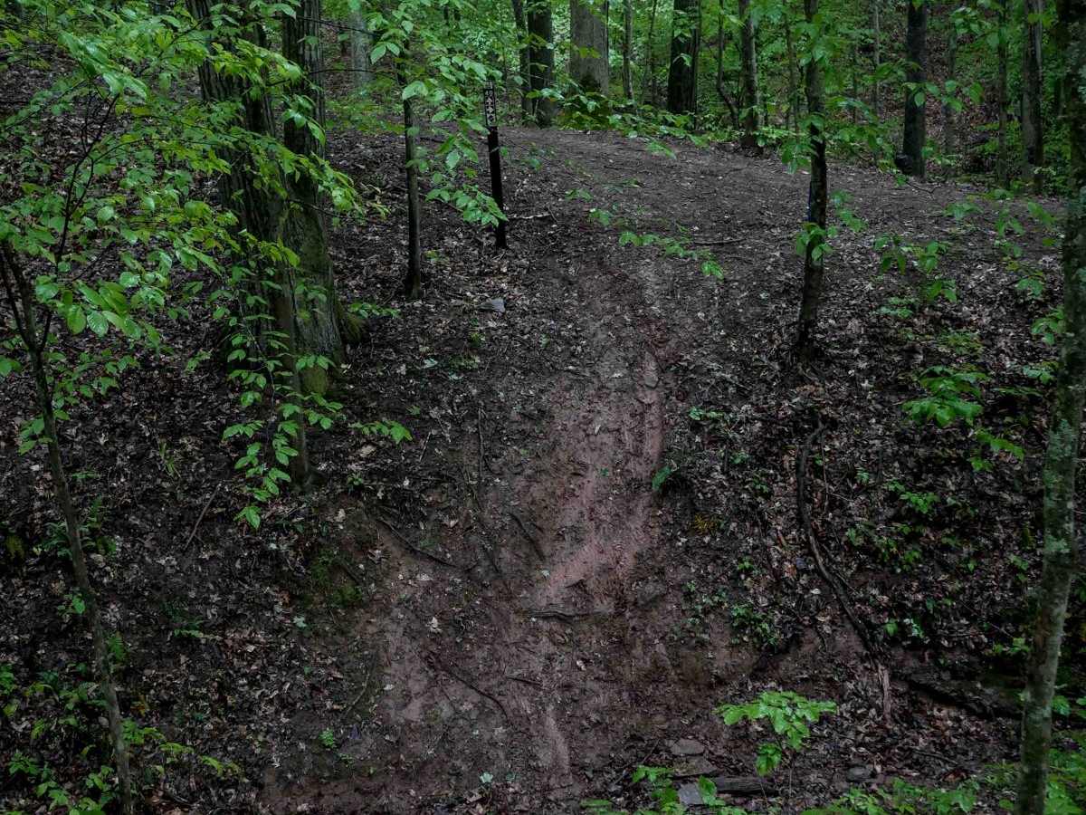 T50 trail photo