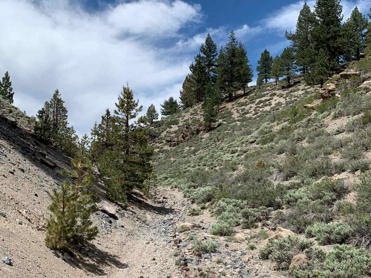Dry Creek Gulch (28E210) photo 4