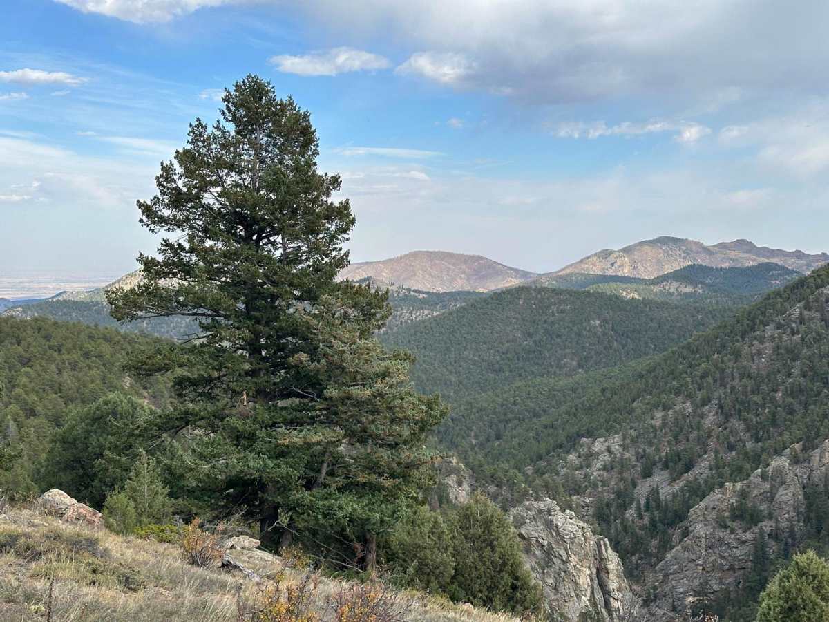 Headache Road trail photo