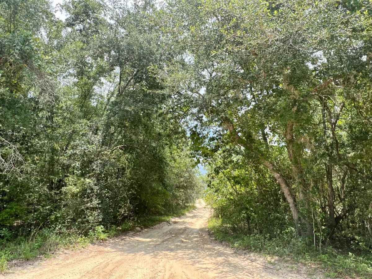 Citrus Wildlife Management | 11B photo 2
