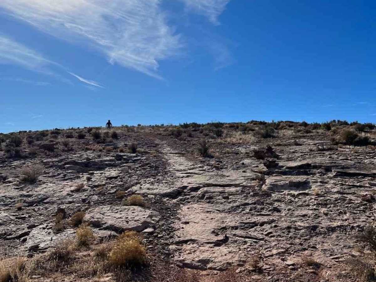 Upper Warner Ridge trail photo