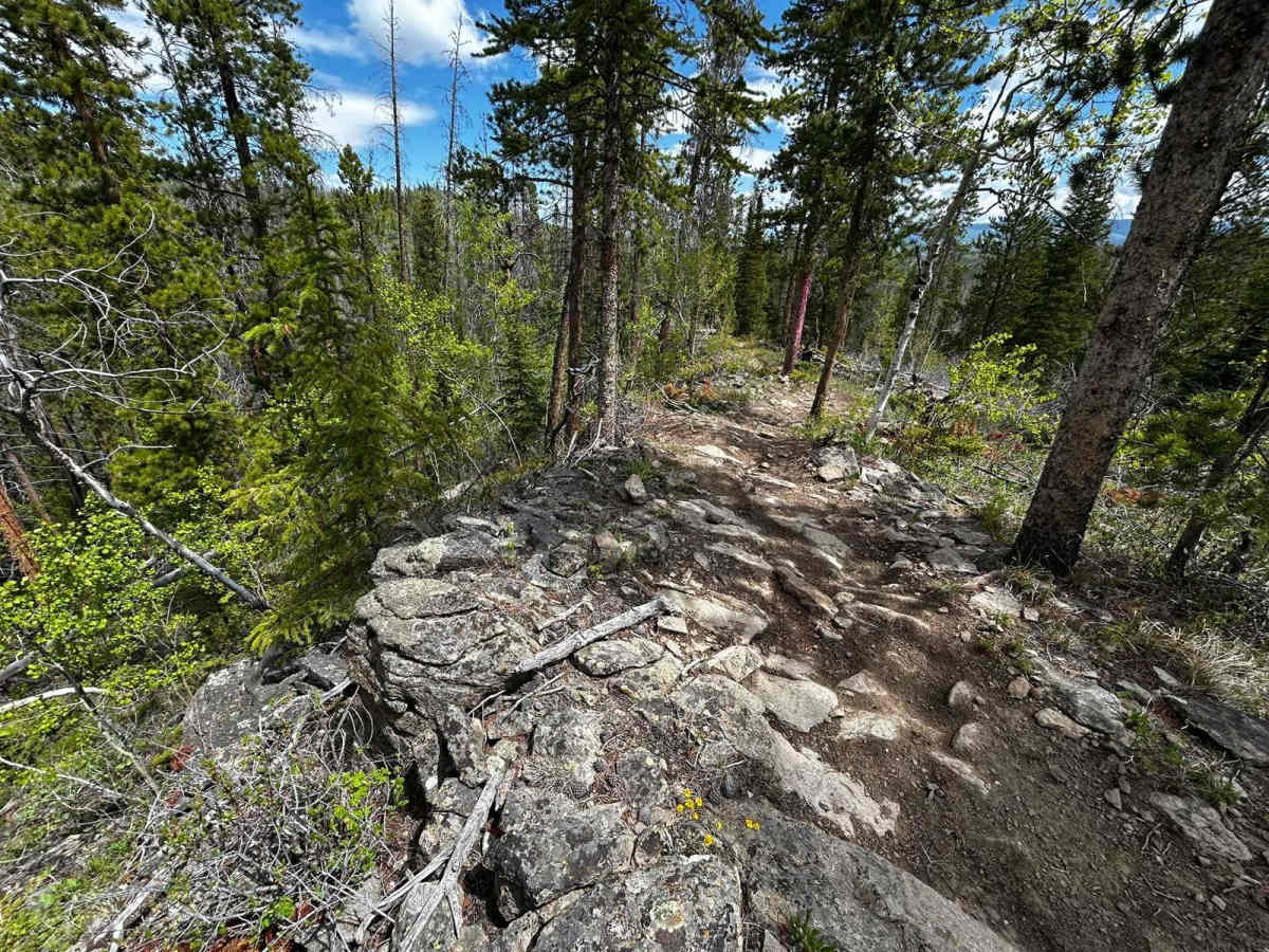Synder Creek Loop Northwest photo 5