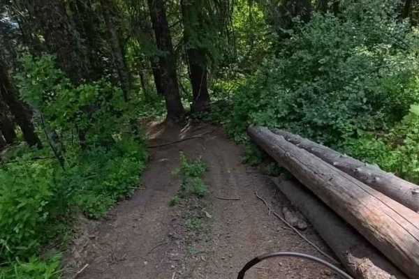 Chesley Creek Trail 19