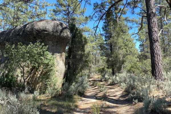 South of Laguna Hanson