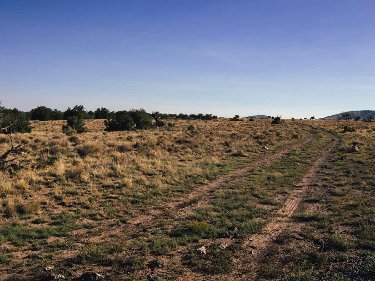 West Checker trail photo