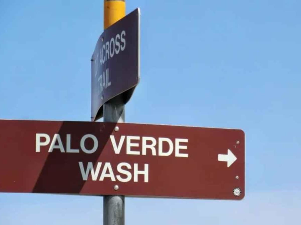 Palo Verde Wash photo 2