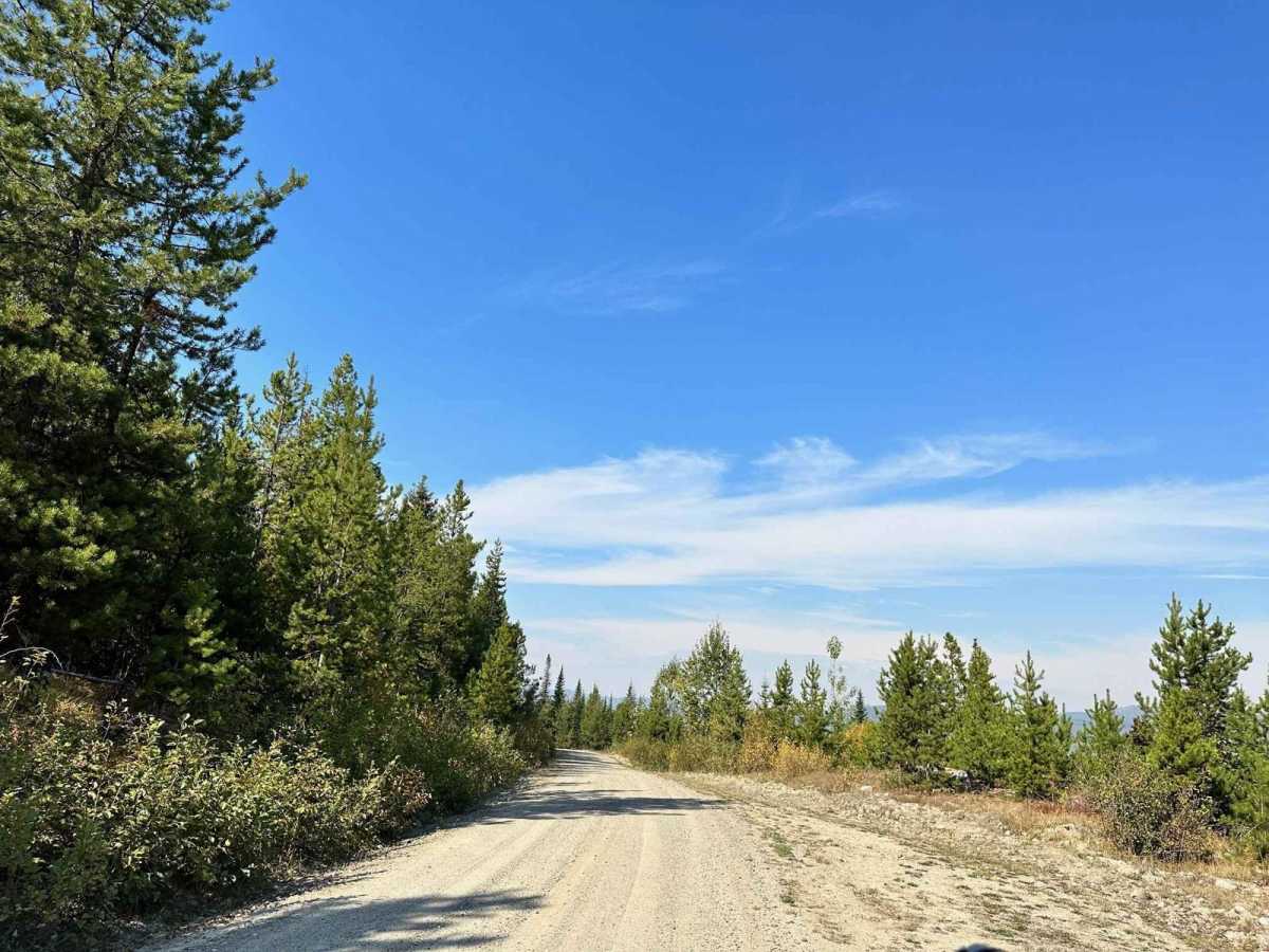 Jamieson Forest Service Road photo 5