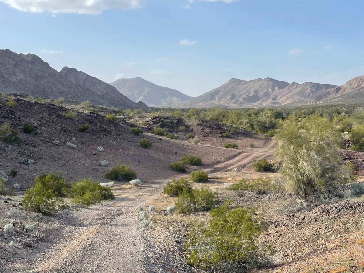 Palomas Flats trail photo