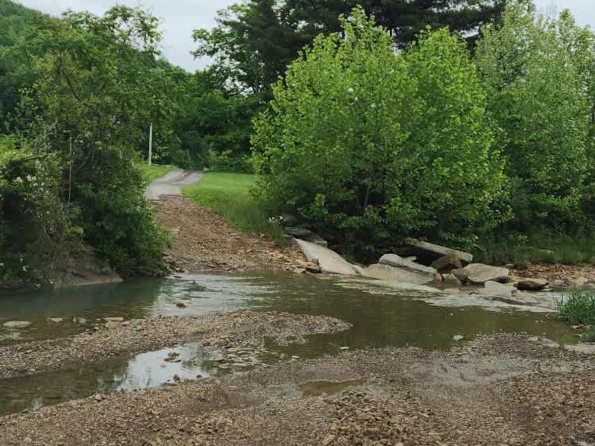 Beech Fork  Road trail photo