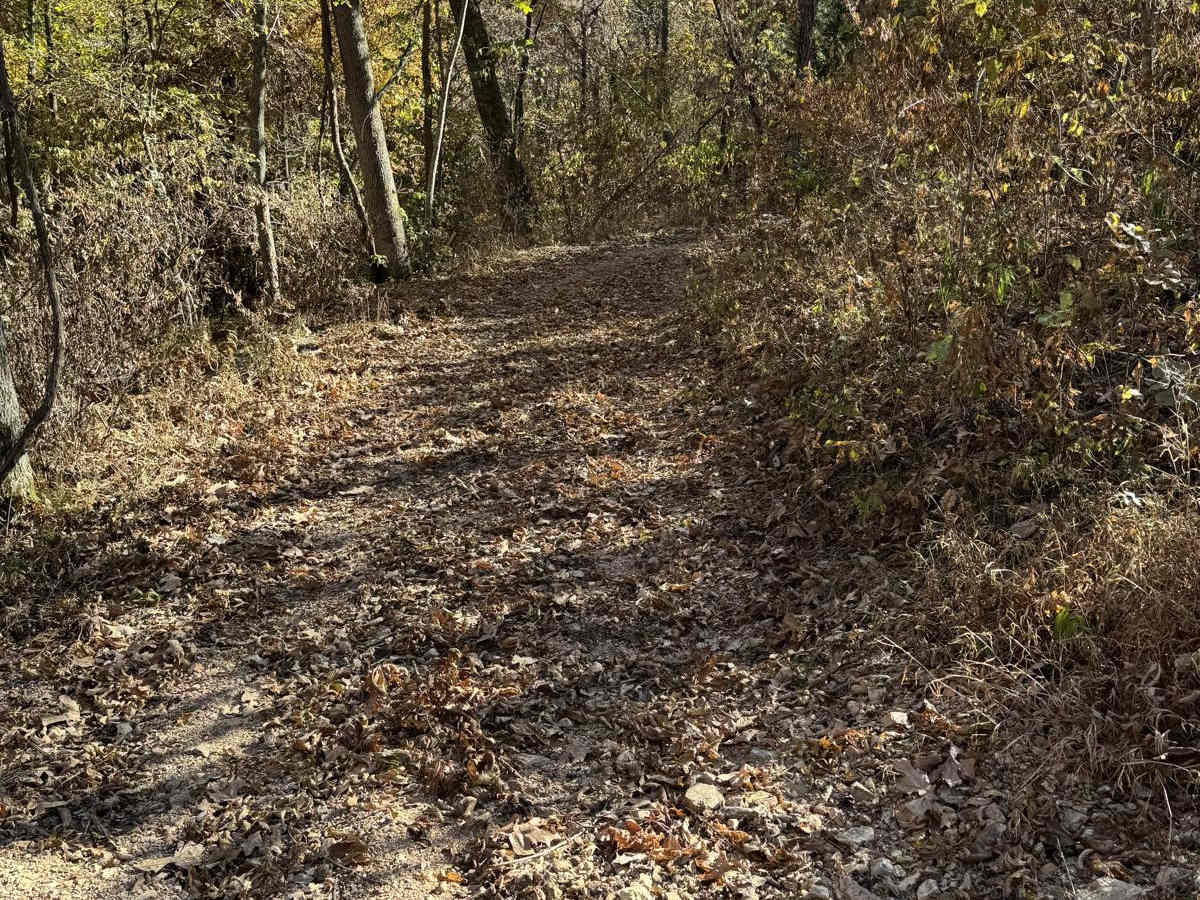 Green 72 trail photo