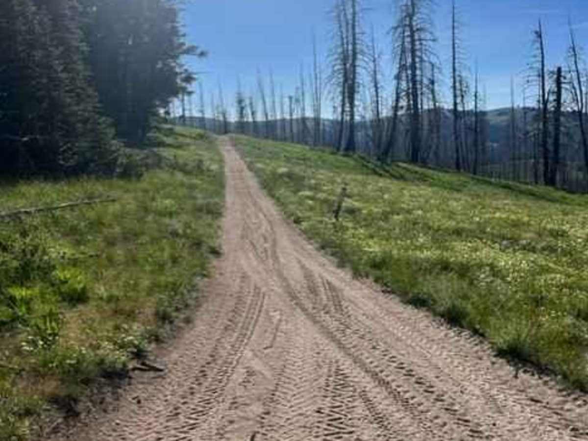 Bremner Trail photo 3