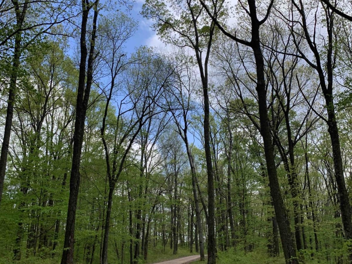 Park Road 39 photo 6