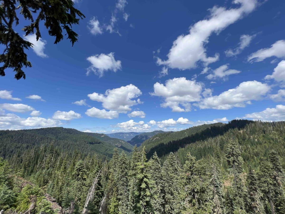Coal Creek 2133 trail photo