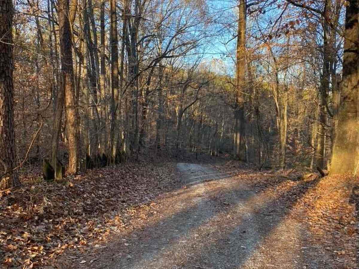 Silica Hill Road SFR 645 photo 3