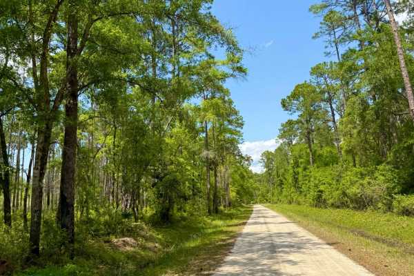 Sandy Beach Road