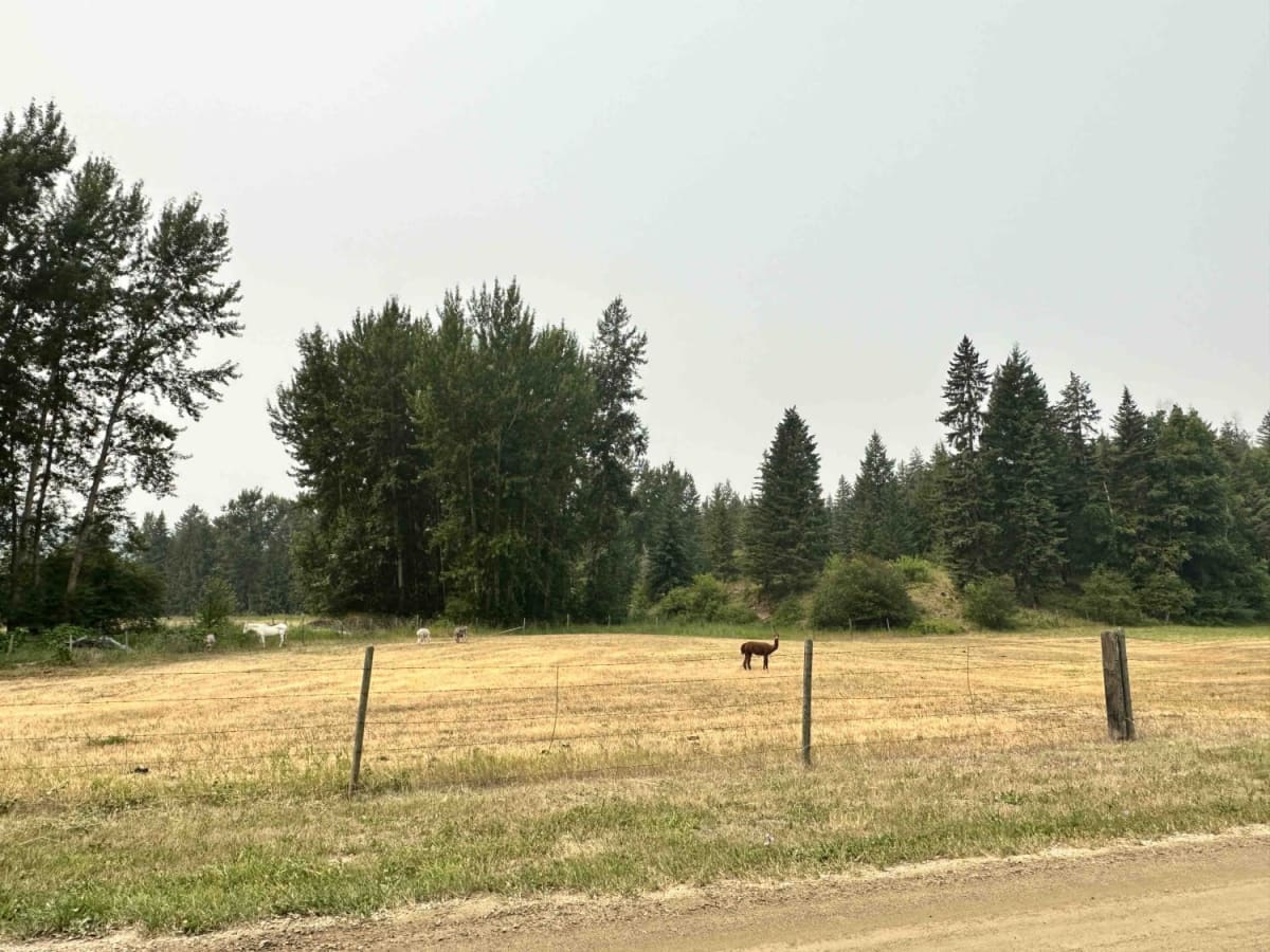 Skimikin Road photo 2