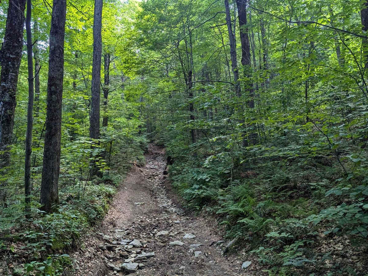 Beartown Road photo 6