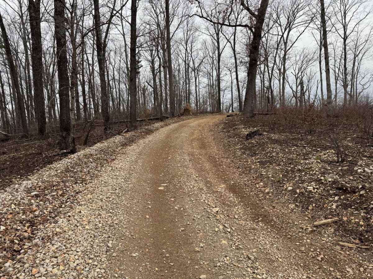 Wildcat Road photo 3