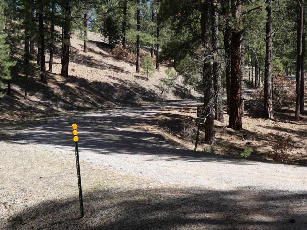 Jacques Canyon FSR-719 trail photo
