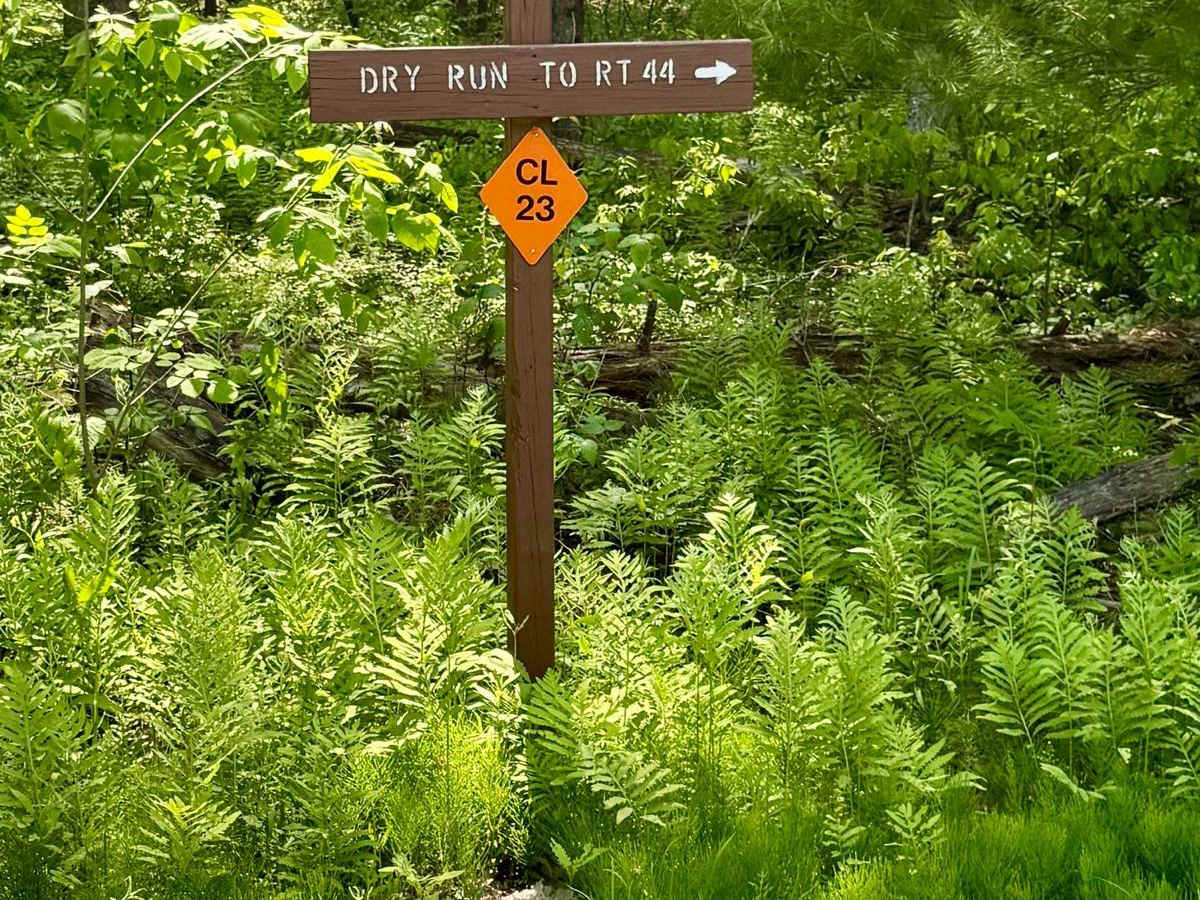 Dry Run Road photo 4