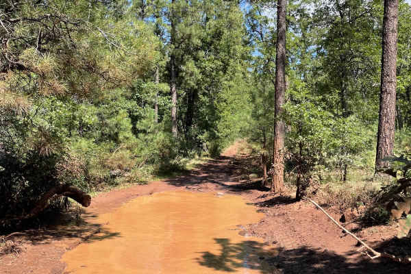 Mud Puddle Lane 