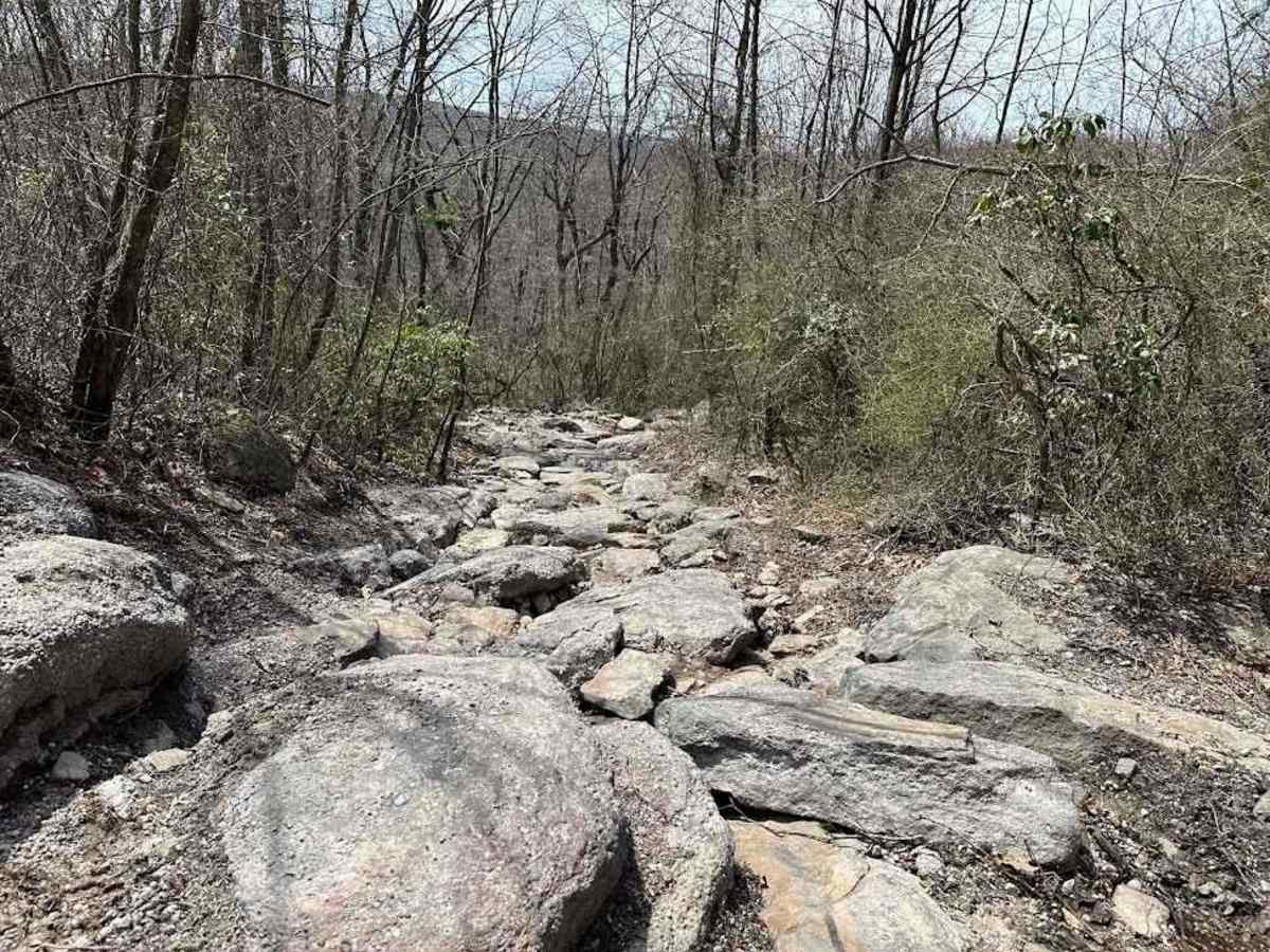 St. Keirns Obstacle trail photo