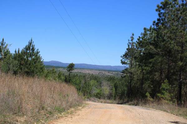 Howard County WMA To Highway 278