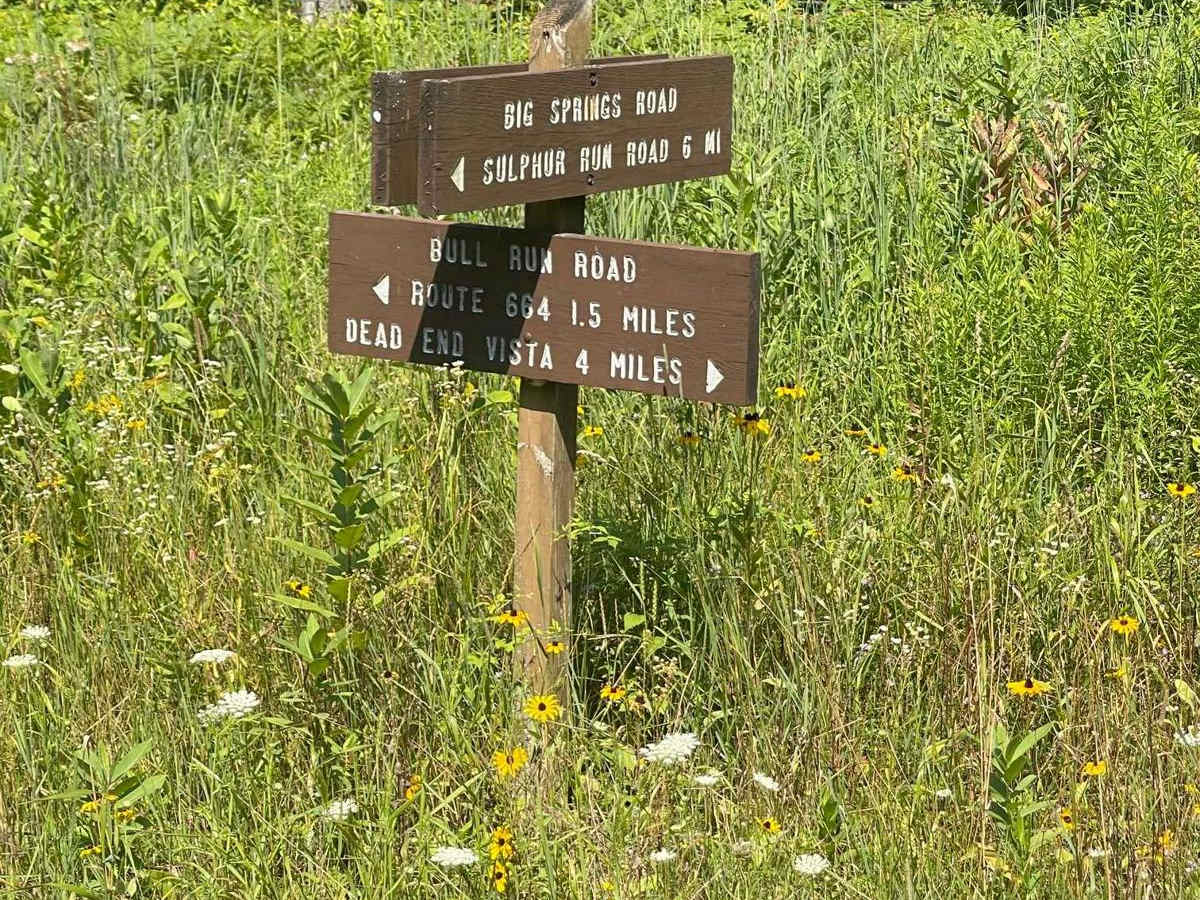 Big Springs Road photo 5