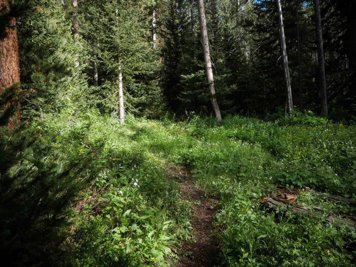 Trappers Cabin #3561A photo 5