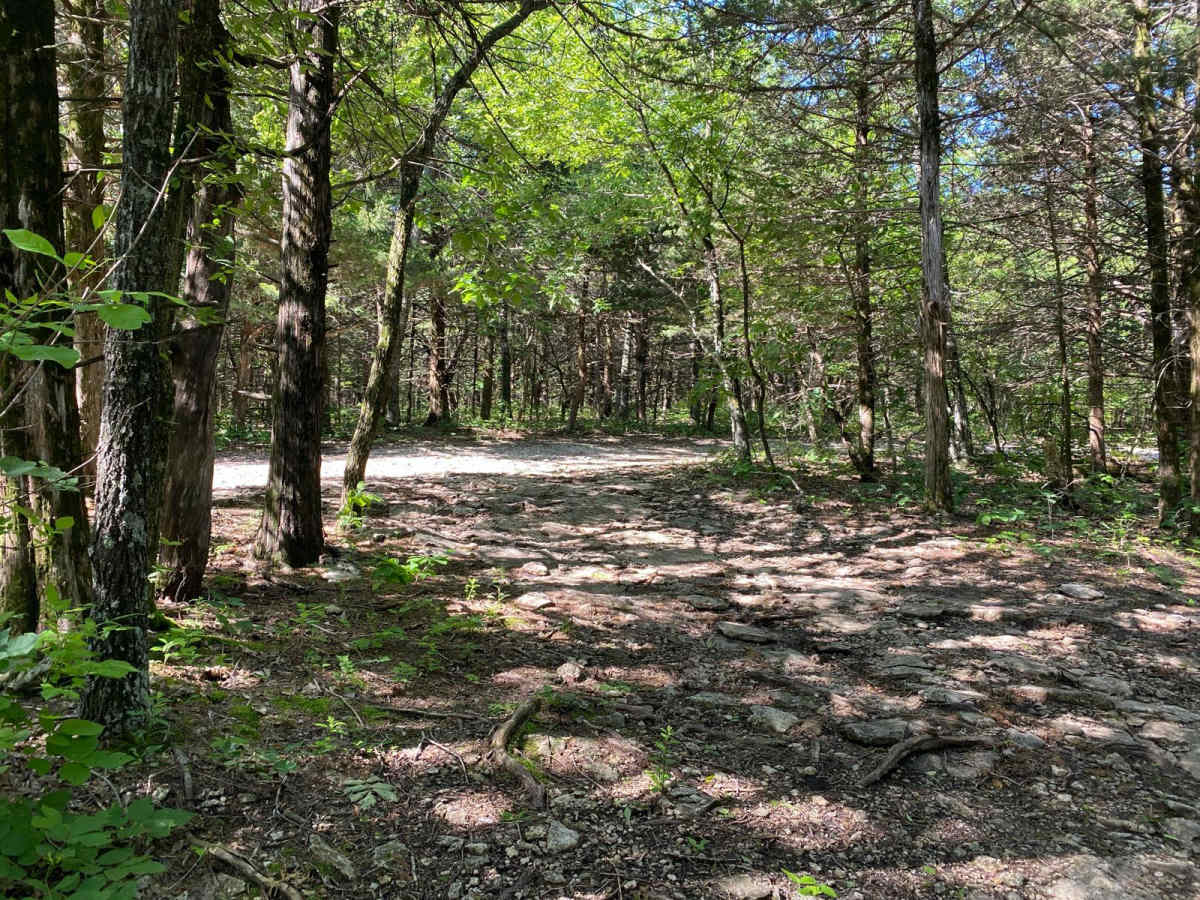 Sprattsville Trail trail photo
